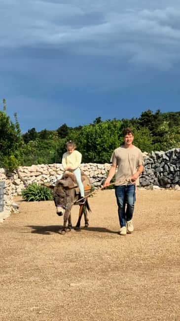 Šmrika (near Rijeka/Krk/Crikvenica) Donkey Farm Family Fun - Why I Think Families Will Leave Smiling