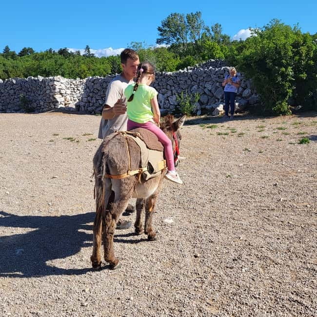 Šmrika (near Rijeka/Krk/Crikvenica) Donkey Farm Family Fun - Getting There from Rijeka, Krk, and Crikvenica