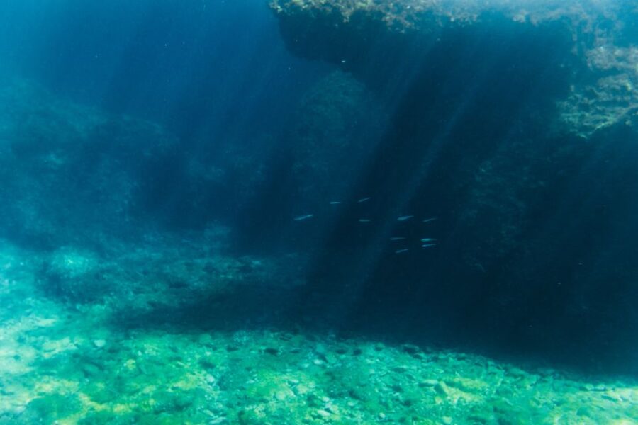 Split: 45-minute Semi-Submarine Trip - Cabin comfort, heat, and the small-boat reality
