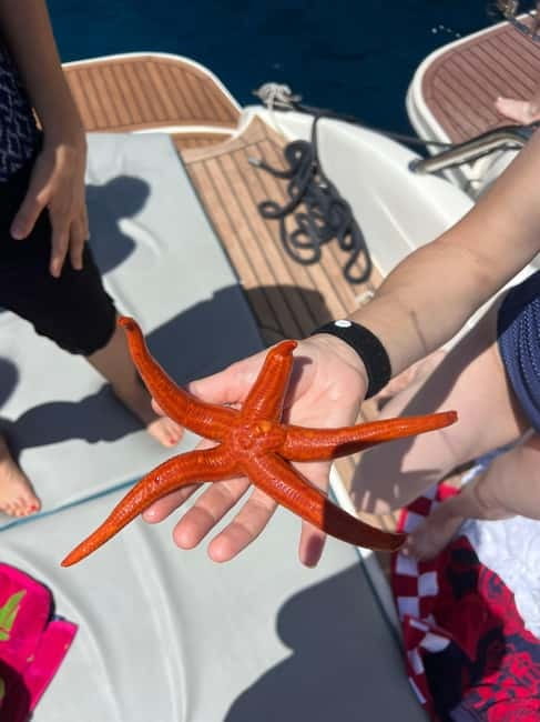 Split: 5 Islands Full-Day Tour to Blue Cave, Vis & Hvar - Key things that make this tour worth a spot