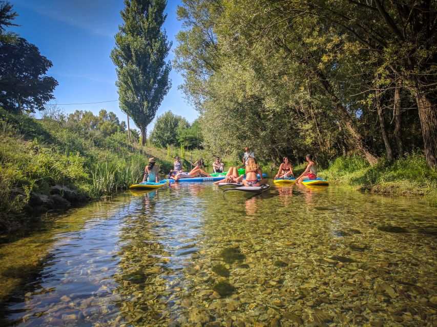 Split: Adriatic Sea and River Stand-Up Paddleboard Tour - Snorkeling time: fish spotting and the Periska shell detail