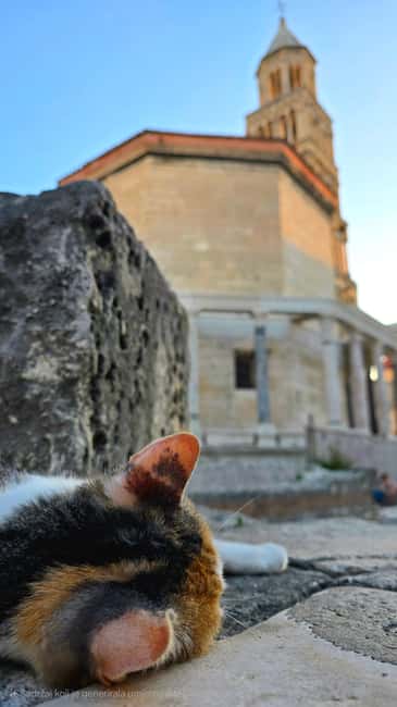 Split and Diocletian's Palace walking tour with a local guid - Key things to know before you set off