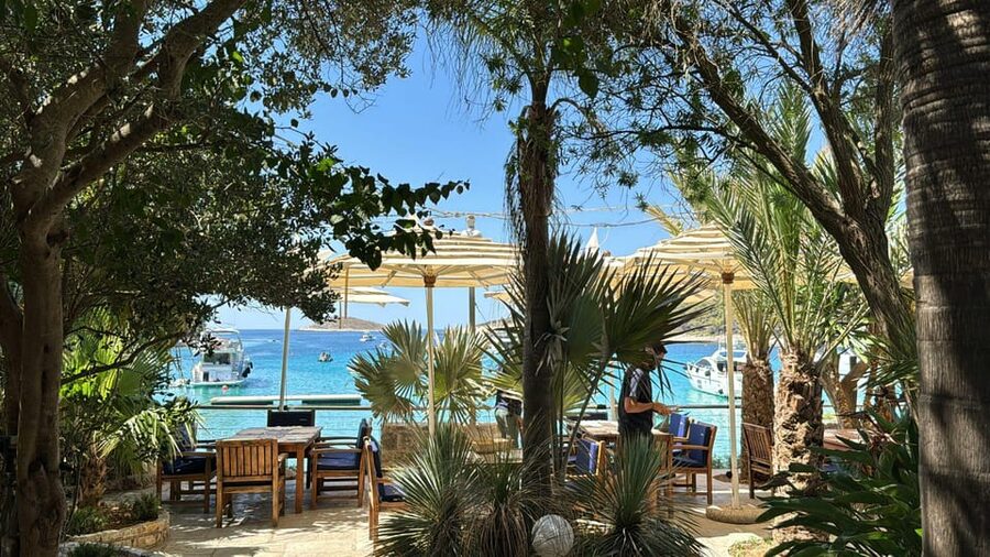 Split: Blue Lagoon, Hvar and 6 Islands Small Group Boat Tour - Stop 4: Maslinica on Šolta for a Quieter Coastal Reset