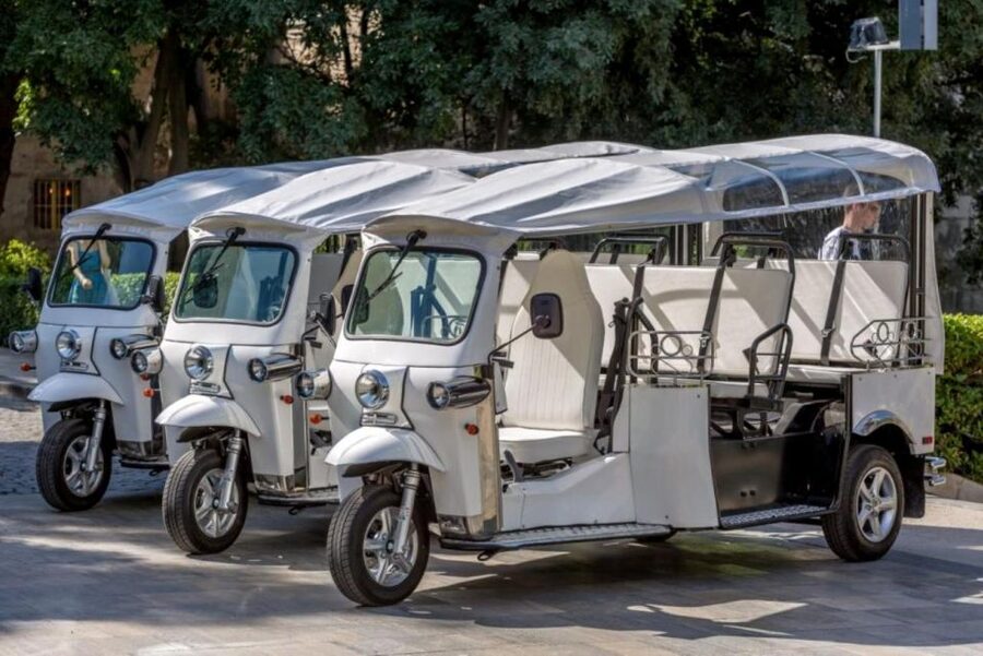 Split: City Highlights Electric Tuk-Tuk Tour - Sustipan Park and the calm reset before the promenade
