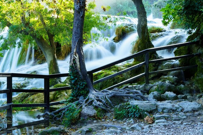 Split/Trogir/Kastela: Krka Private Tour - option: Wine Tasting - Plastovo Winery Stop, Indigenous Grapes and Olive Oil Tastings