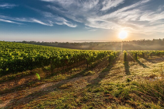 Split/Trogir/Kastela: Krka Private Tour - option: Wine Tasting - Price and Logistics, How the Group Price Really Works