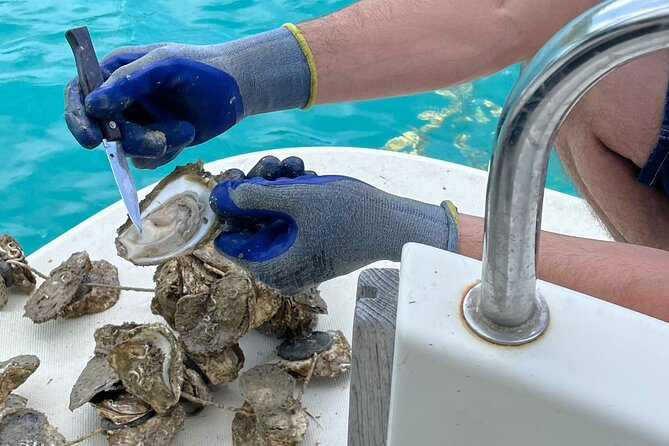 Ston Seafood & Pelješa Wine Boat Tour with Oysters and Mussels - Key highlights worth setting your day around