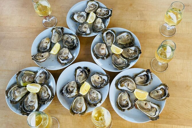 Ston Seafood & Pelješa Wine Boat Tour with Oysters and Mussels - Dubrovnik to Pelješac Peninsula, what the timing really means