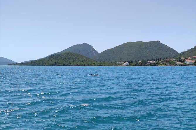 Ston Seafood & Pelješa Wine Boat Tour with Oysters and Mussels - Ston in 45 minutes: walls and salt lakes, but manage your expectations