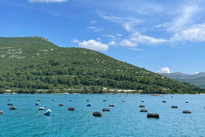 Ston Seafood & Pelješa Wine Boat Tour with Oysters and Mussels - Price and value: what your 180.72 covers, and where it can feel steep