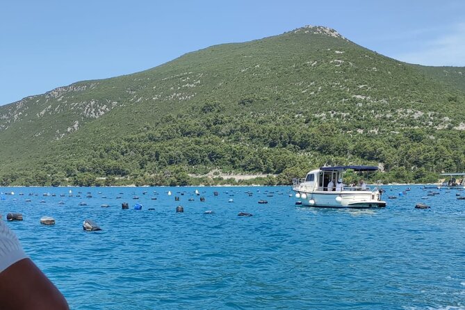 Ston Seafood & Pelješa Wine Boat Tour with Oysters and Mussels - Practical comfort tips before you go
