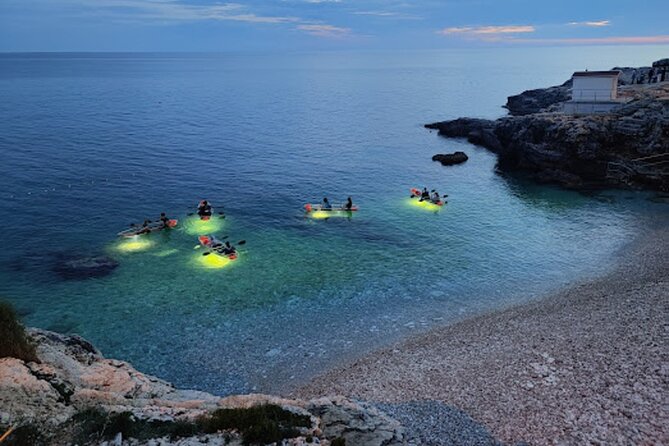 Sunset Dolphin Cruise in Brijuni National Park from Pula - Should You Book This Sunset Dolphin Cruise from Pula?