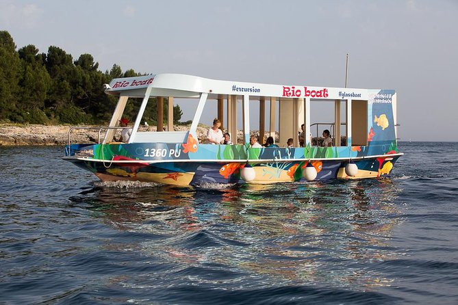 Sunset panorama & swimming with a fishes - Fish Feeding: The Fun Part That Actually Feels Like Magic