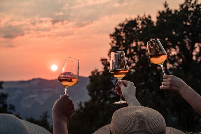 Sunset wine tasting in vineyard - Key things I’d circle before you book