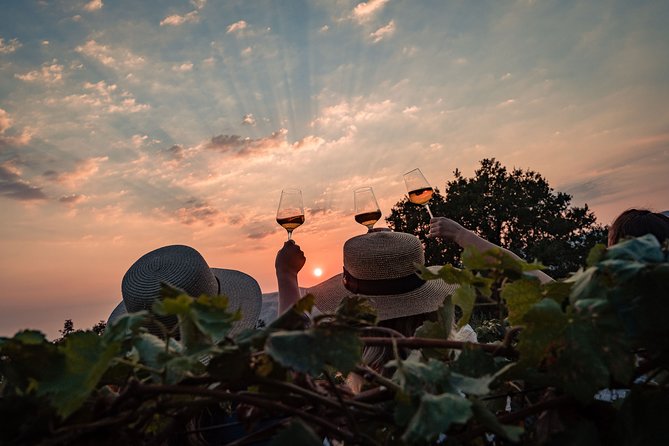 Sunset wine tasting in vineyard - Price and value: is $96.55 for 3 hours worth it?