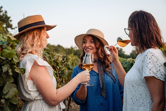 Sunset wine tasting in vineyard - Ivica and Domininka: learning how olives and wine are made in your glass