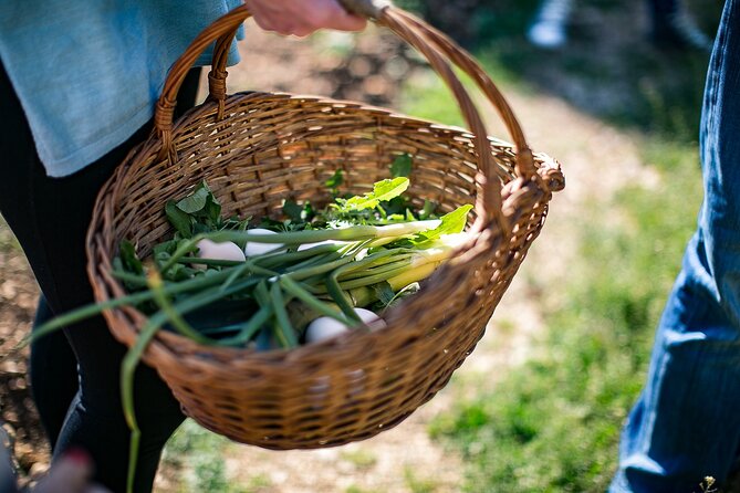 Traditional Cooking Class in Dubrovnik Countryside - Desserts and the local cake finish