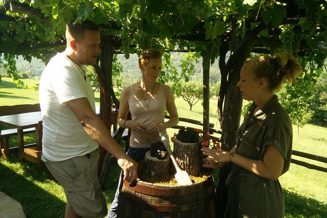Truffle and wine / Taste of Istria from POREC, ROVINJ, PULA - A 5-hour Rovinj truffle and wine day that feels personal