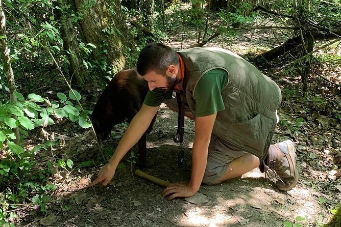 Truffle hunting adventure - Key Points to Know Before You Go