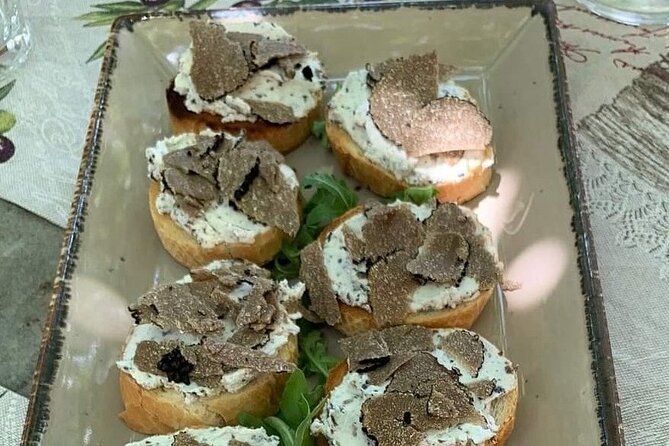Truffle hunting adventure - What to Wear in Motovun Woods: Boots, Mud, and Mosquito Season