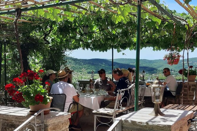 Truffle hunting adventure - Rovinj Side Trip Energy: Why Motovun Makes the Day Feel Complete