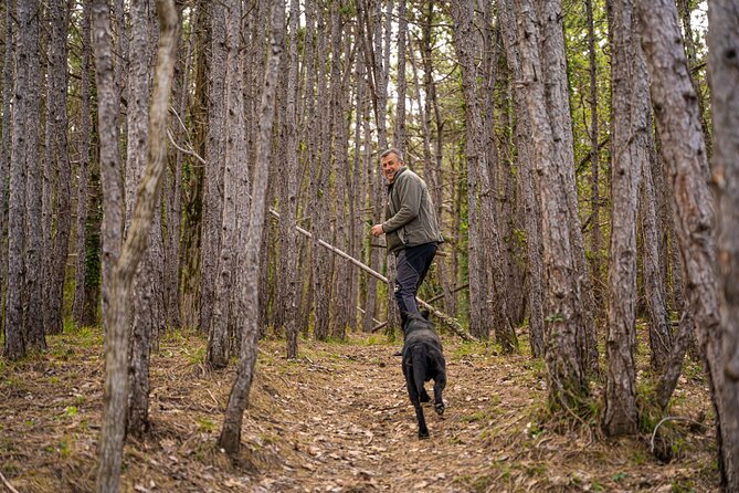 Truffle Hunting and 3-course Truffle Brunch in Motovun - Key highlights worth knowing