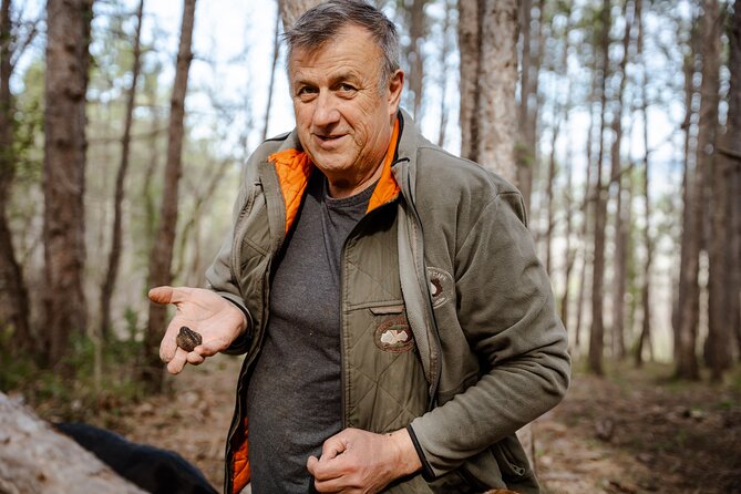 Truffle Hunting and 3-course Truffle Brunch in Motovun - The truffle hunt in the grove and forest with Bella and Lila