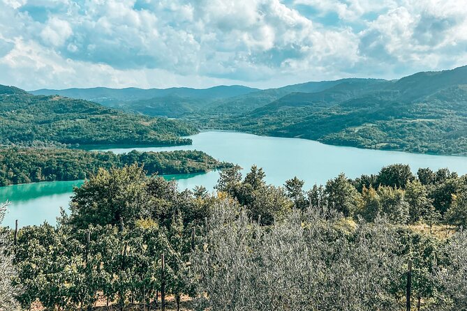 Truffle hunting & cooking tour - Practical logistics that can make or break your day