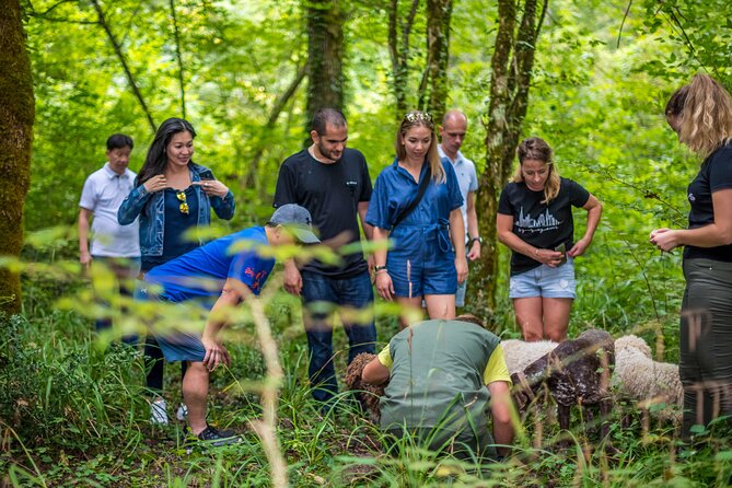 Truffle hunting & cooking tour - Should you book Karlić Tartufi truffle hunting and cooking tour?