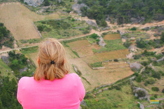 Twice the Wine - Two wineries half day tour, with delicacies - Transport and Comfort: Air-Conditioned Between the Views
