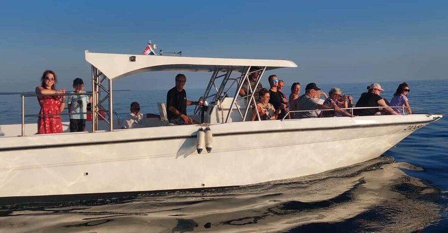 Umag: Dolphinwatching & sunset panorama tour - Key highlights to know before you go