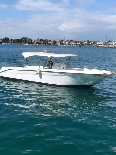 Umag: Dolphinwatching & sunset panorama tour - Onboard comfort, shade, and what you can bring