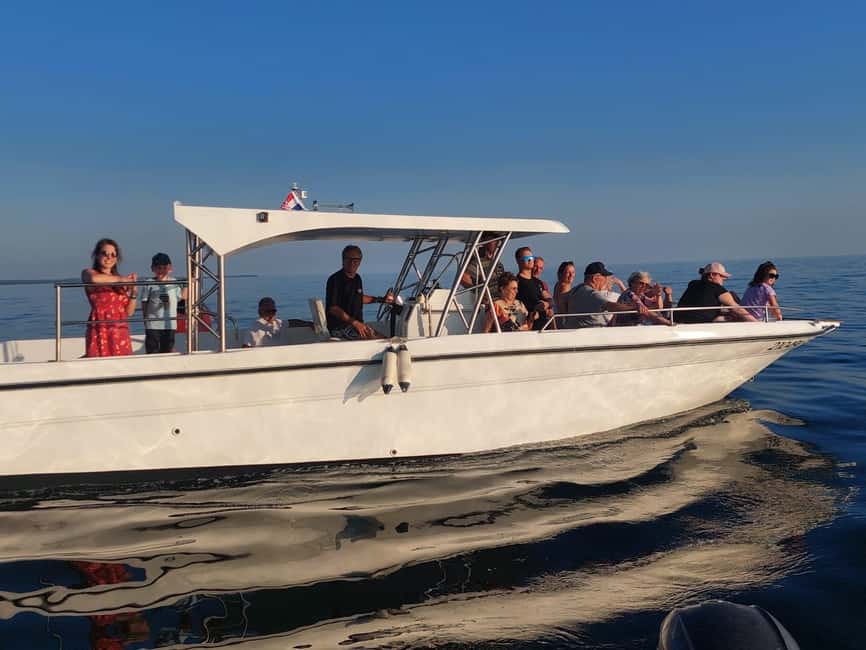 Umag: Dolphinwatching & sunset panorama tour - Dolphin protected area search: the real wildlife rules