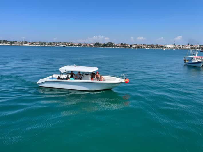 Umag: Snorkeling&dolphinwatching morning tour adventure - A 150-Minute Morning Loop That Gets You Off the Dock Fast