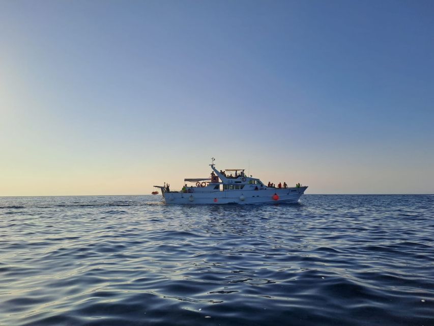 Umag: Sunset Cruise with Dolphin Spotting - Meeting at Trg slobode: Where the Cruise Starts