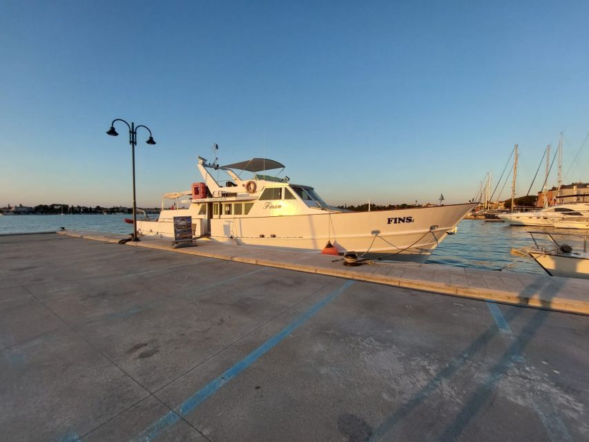 Umag: Sunset Cruise with Dolphin Spotting - Who Should Book This Umag Sunset Cruise