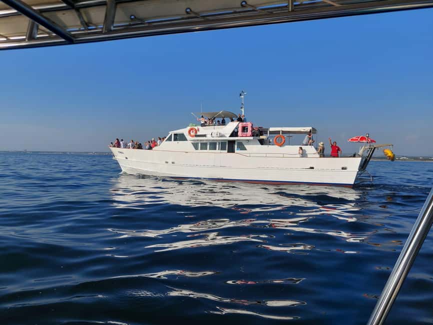 UMAG: Swimming&Panorama / Welcome Drink and Dolphin spotting - Quick picks: what makes this cruise worth your morning