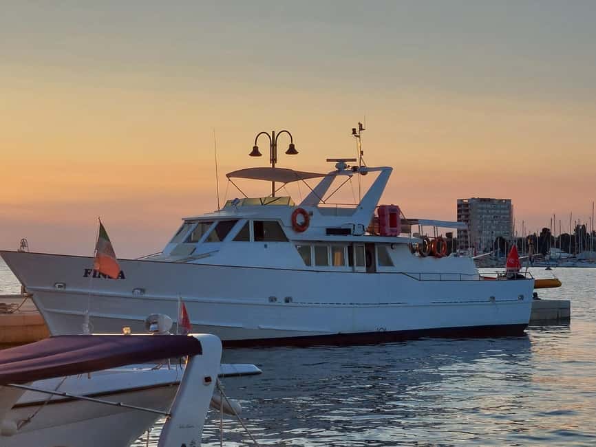 UMAG: Swimming&Panorama / Welcome Drink and Dolphin spotting - Practical tips: clothing, meeting point, and sea-sickness reality