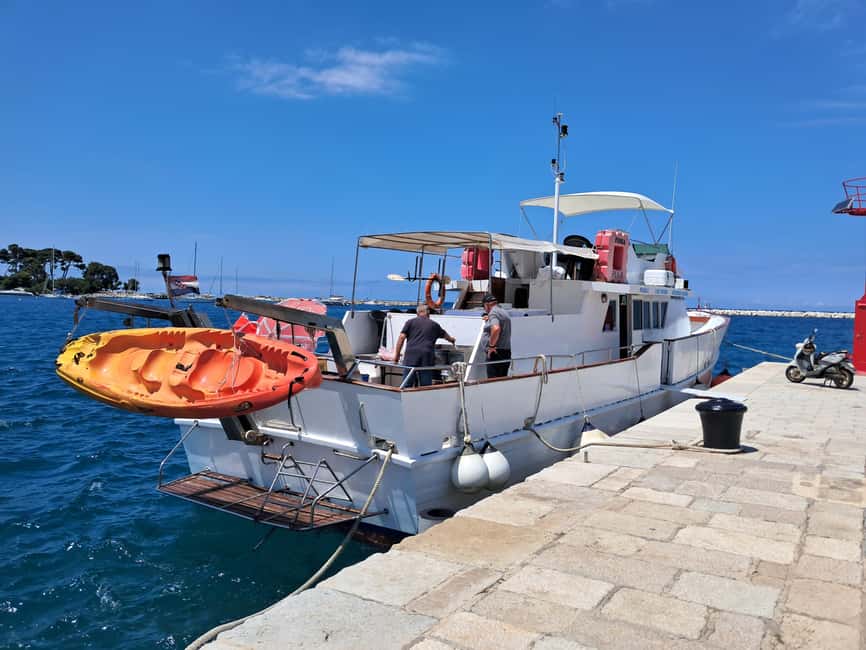 UMAG: Swimming&Panorama / Welcome Drink and Dolphin spotting - The swim stop in Adriatic water: what to expect (and what to watch for)