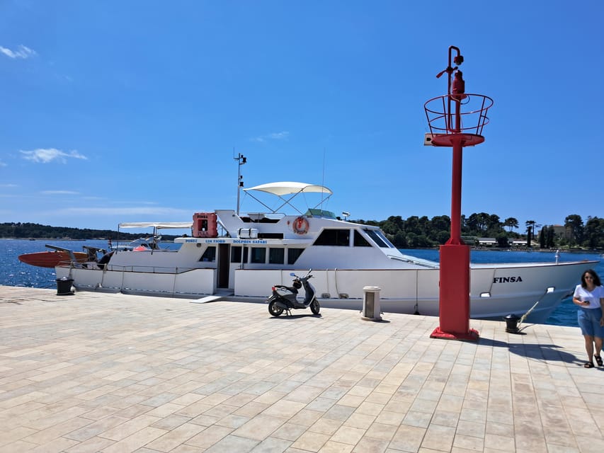 UMAG: Swimming&Panorama / Welcome Drink and Dolphin spotting - Price and value for a $41 half-day
