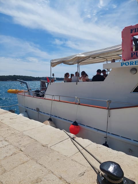 UMAG: Swimming&Panorama / Welcome Drink and Dolphin spotting - Who this cruise is best for, and who should skip it
