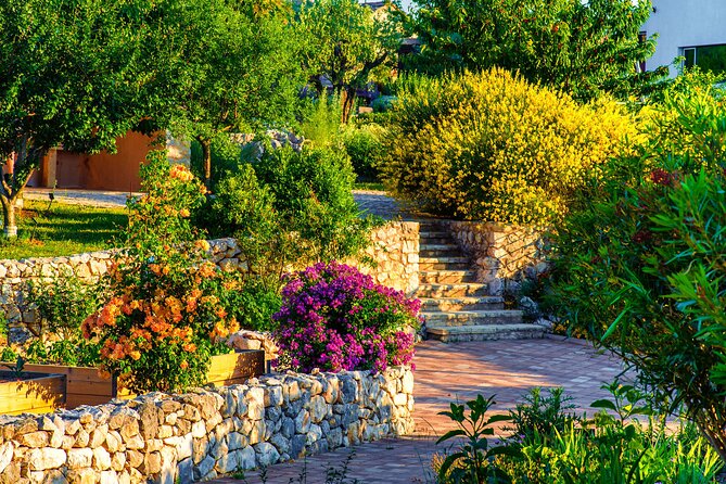 Visit Klis fortress GOT & Olive museum Klis - Price and Value: Why This Combo Tends to Feel Worth It