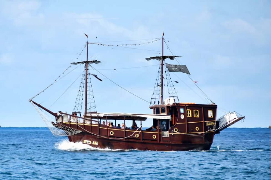 Vrsar: Dolphin Watching Boat Ride - Key highlights worth your attention