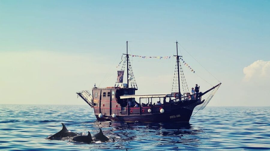 Vrsar: Dolphin Watching Boat Ride - Should you book this Vrsar dolphin watching boat ride?