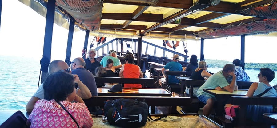 Vrsar: Dolphin Watching Boat Ride - Drinks onboard, including Istrian white wine