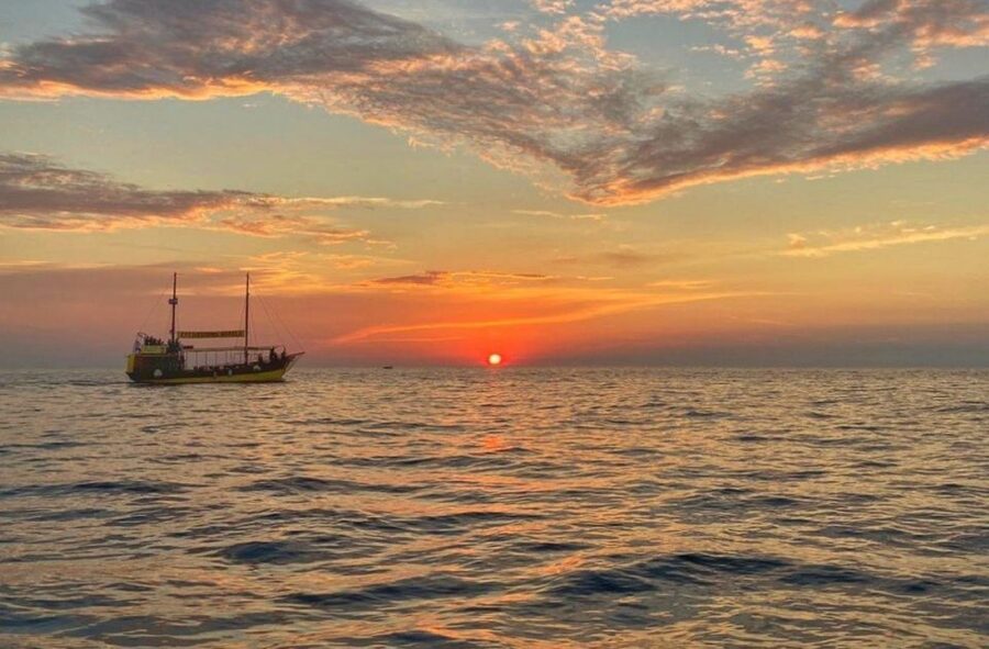 Vrsar: Dolphin Watching Boat Tour including Drinks - Dolphin Watching the Right Way: Wild Behavior, 97% Chances, Realistic Expectations