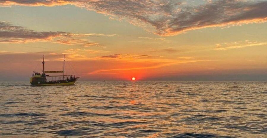 Vrsar: Dolphin Watching Boat Tour including Drinks - Who this Vrsar dolphin tour suits best