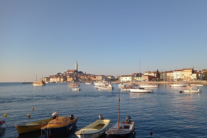 Vrsar, Lim Fjord and Rovinj Day Tour by Boat with Drinks - Swimming Stops: How to Enjoy Them Without Stress