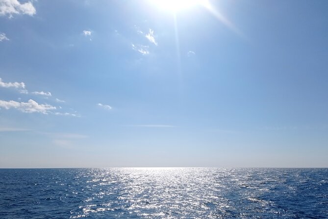 Vrsar, Lim Fjord and Rovinj Day Tour by Boat with Drinks - Who This Boat Tour Suits Best (And Who Might Want Something Longer)