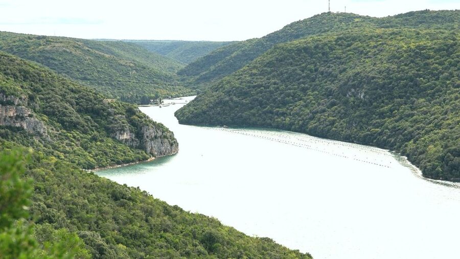 Vrsar: Lim Fjord Boat Tour with Swimming near Pirate's Cave - Price and value: is $29 worth it?